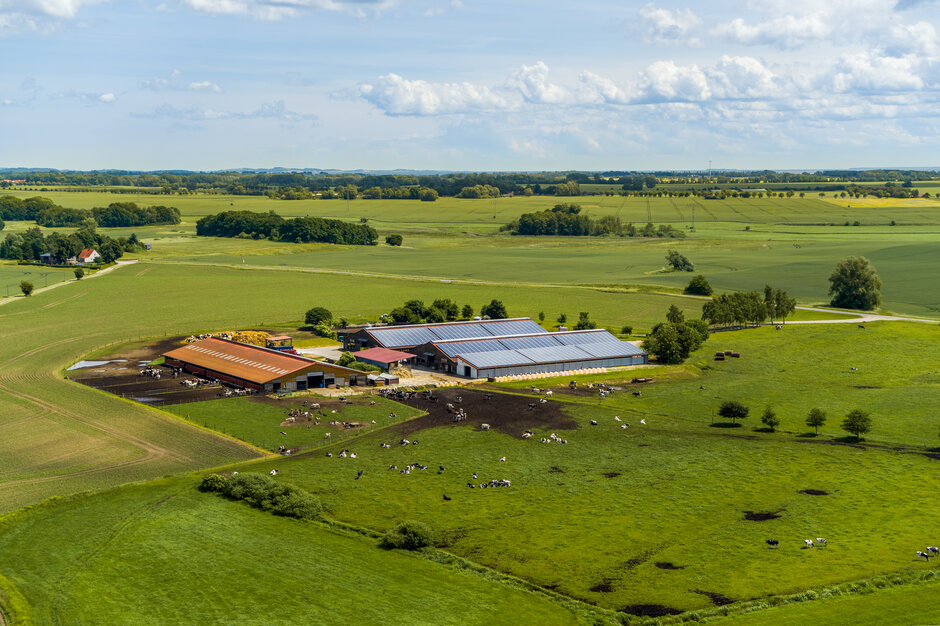 Milchviehbetrieb auf Rügen