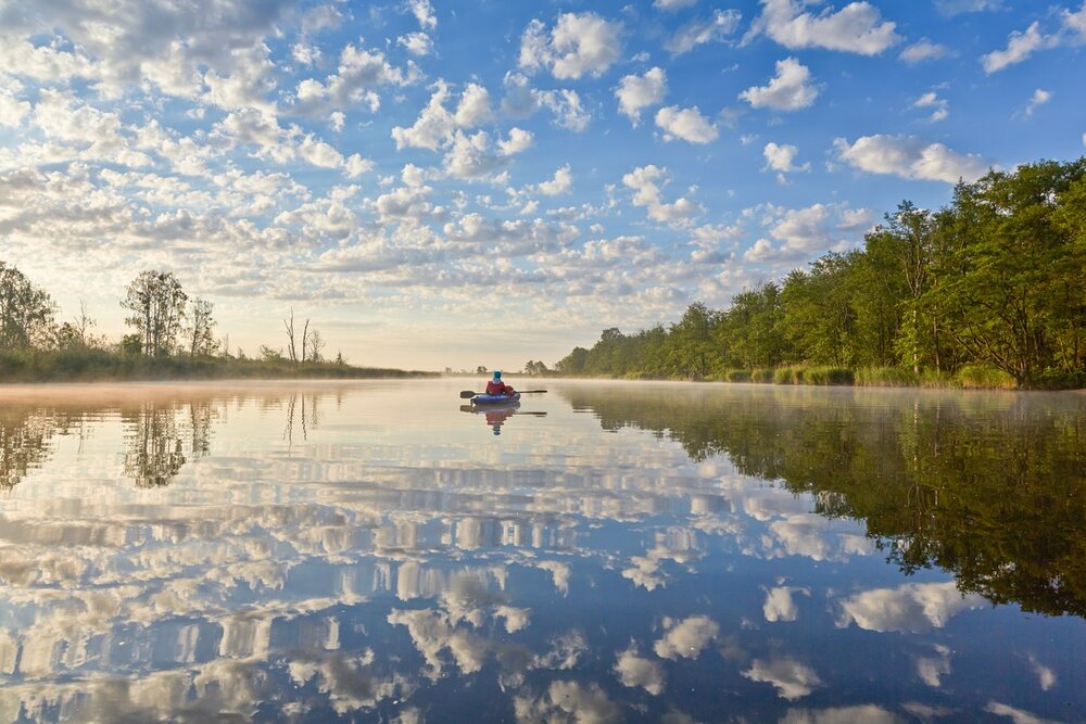 Die Peene - Amazonas des Nordens: Kaum ein Fluss in Deutschland ist von so viel unberührter Natur umgeben.