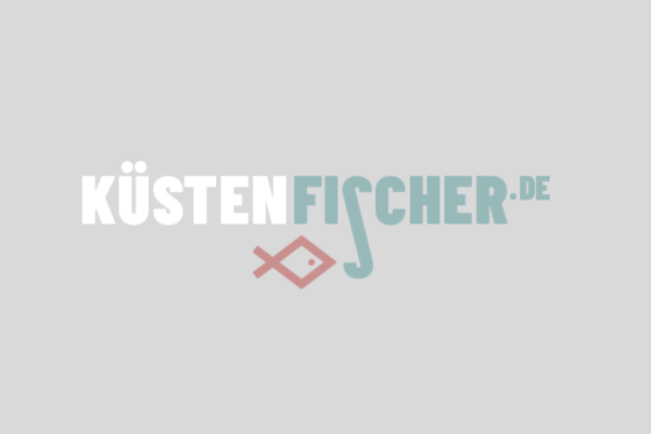 Küstenfischer Logo